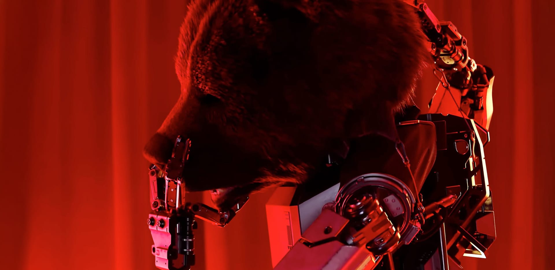 Bye Bear