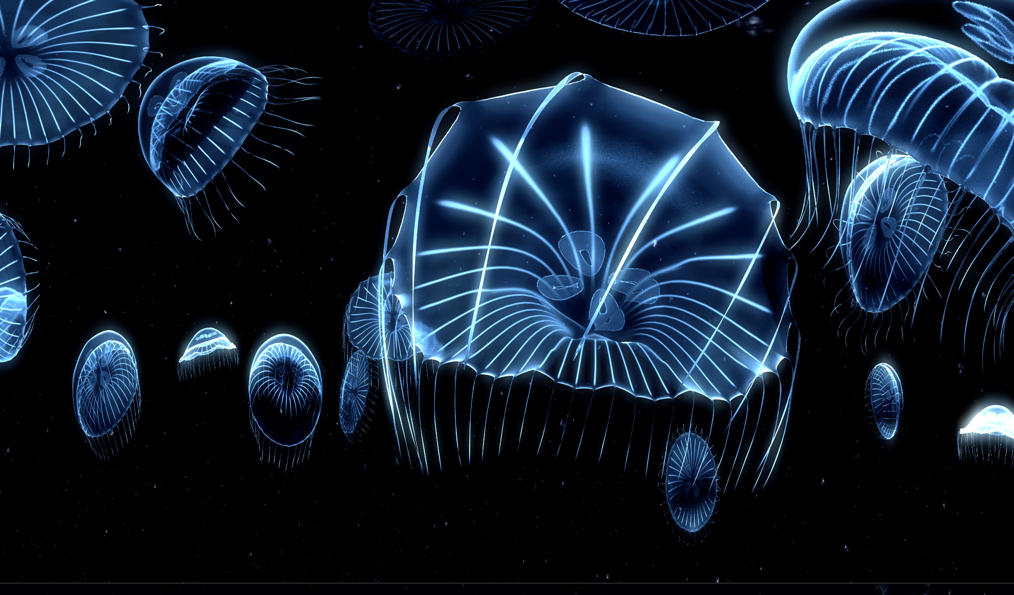 Realm of Light