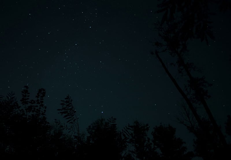 Darkness Matters
